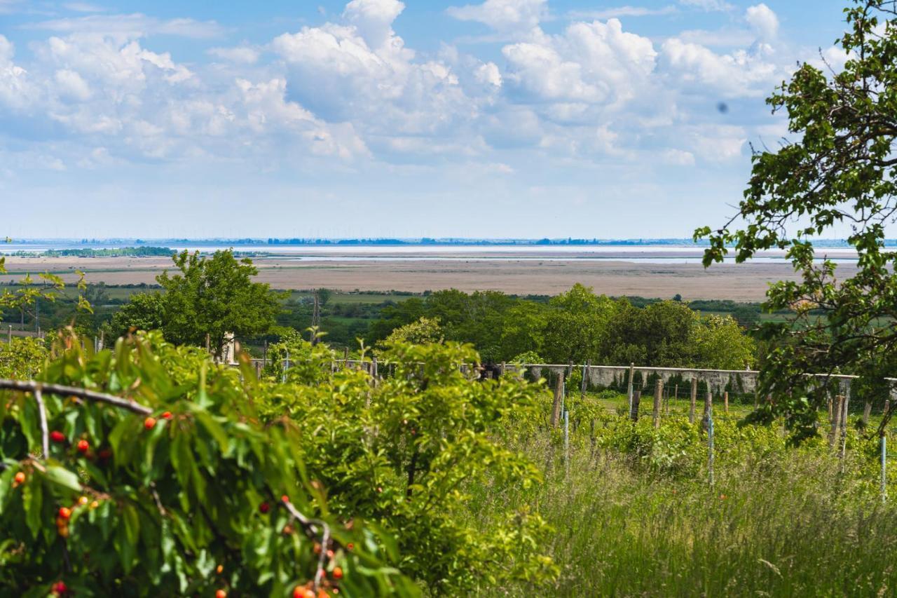 Kofejto Haza Villa Fertőrákos Buitenkant foto